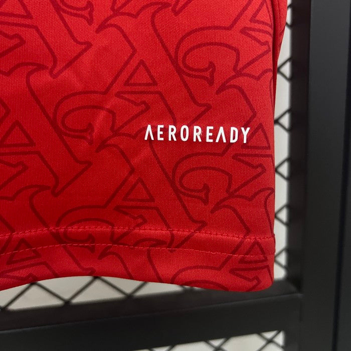 Arsenal Home Jersey 25/26 Mens